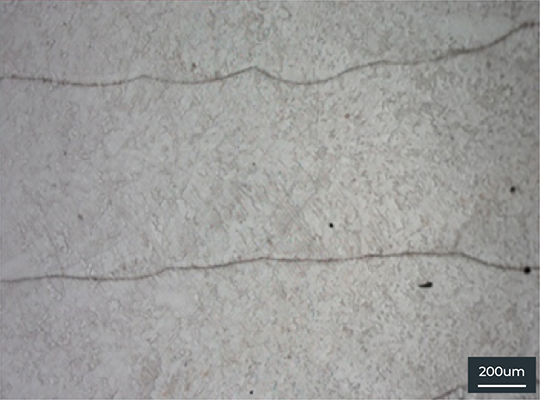 200μm microstructure of Fe-based alloy SS316L