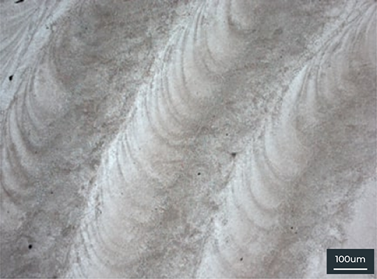 100μm microstructure of Ni-based alloy IN625