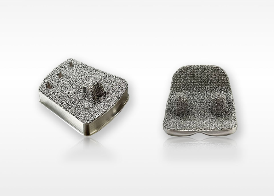 porous coated ankle system