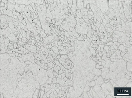 100μm microstructure of Fe-based alloy SS316L